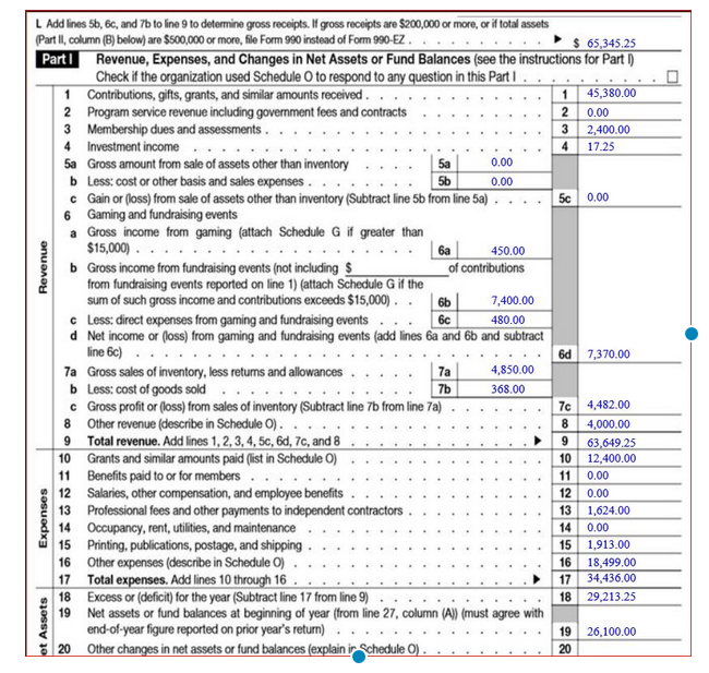 PTO Accounting Software - 990 EX Form